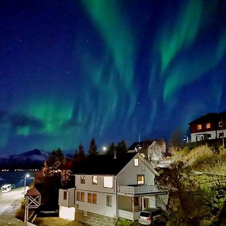 Отель Arctic Garden Лёдинген Экстерьер фото
