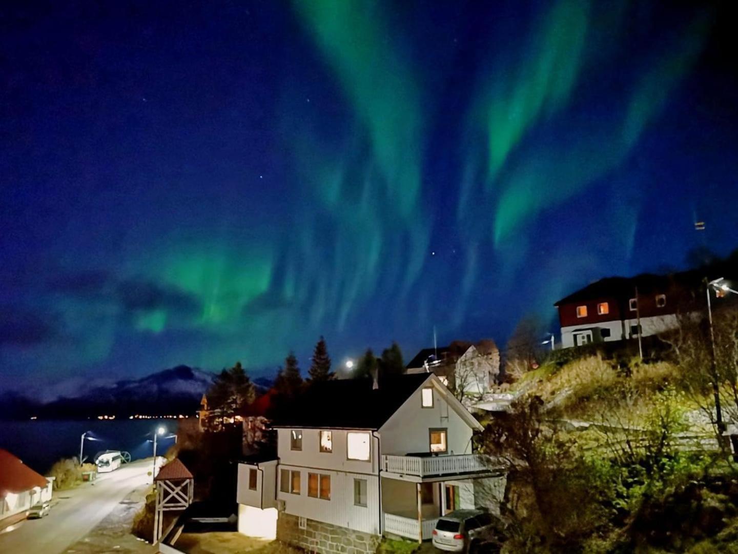 Отель Arctic Garden Лёдинген Экстерьер фото