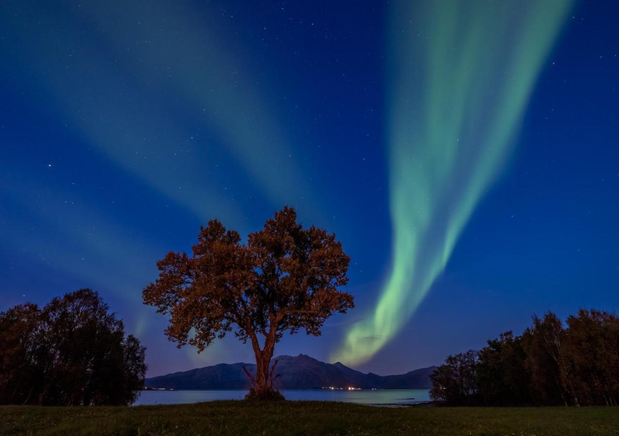 Отель Arctic Garden Лёдинген Экстерьер фото